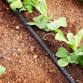 Irrigatia extension set for drip hose